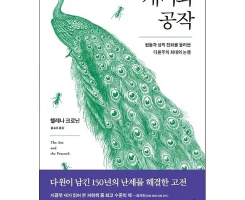 가성비 최고 개미와공작 베스트5