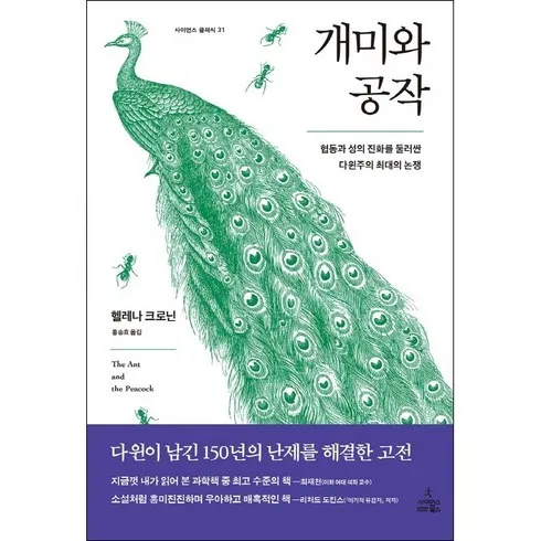 가성비 최고 개미와공작 베스트5