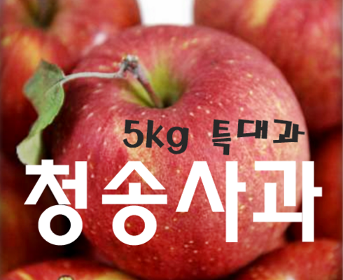 놓치면 후회할 애플진 햇 보조개사과 5kg1박스_부사 베스트상품