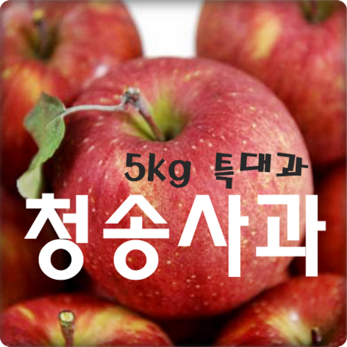 놓치면 후회할 애플진 햇 보조개사과 5kg1박스_부사 베스트상품