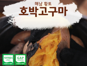 가성비 최고 해남 황토 꿀고구마 8kg 추천상품