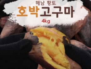 놓치면 후회할 화산농협 특등급 해남 황토 호박고구마 4kg4kg 추천상품