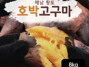 놓치면 후회할 화산농협 해남 황토 호박고구마 4kg 베스트5